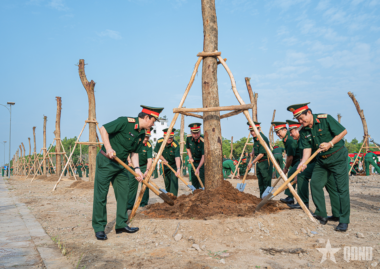 Thúc đẩy phong trào trồng cây phát triển mạnh mẽ, toàn diện